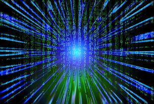 乐鱼体育在线下载-新加坡队未来之路：如何在全球乒乓赛事中争夺更多荣誉，新加坡乒乓球厉害吗